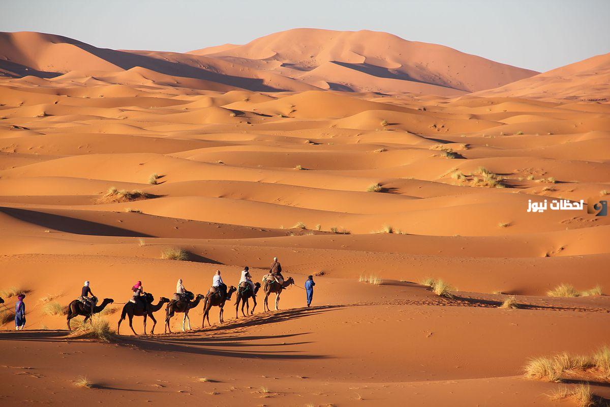 الحسيني وش يرجعون أصل عائلة الحسيني الحسيني وش يرجعون أصل عائلة الحسيني