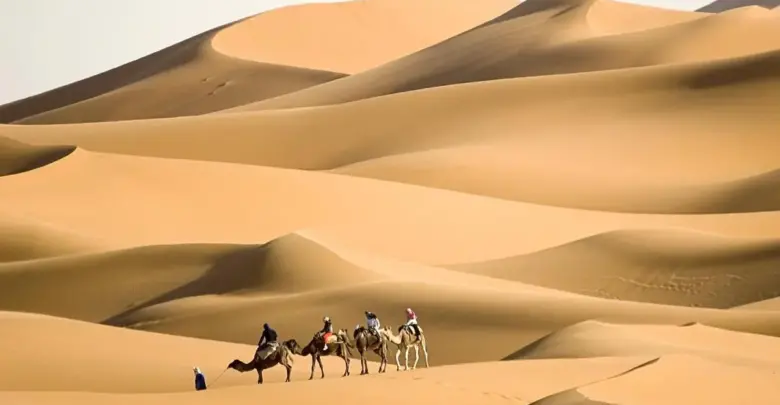 الحوشان وش يرجع
