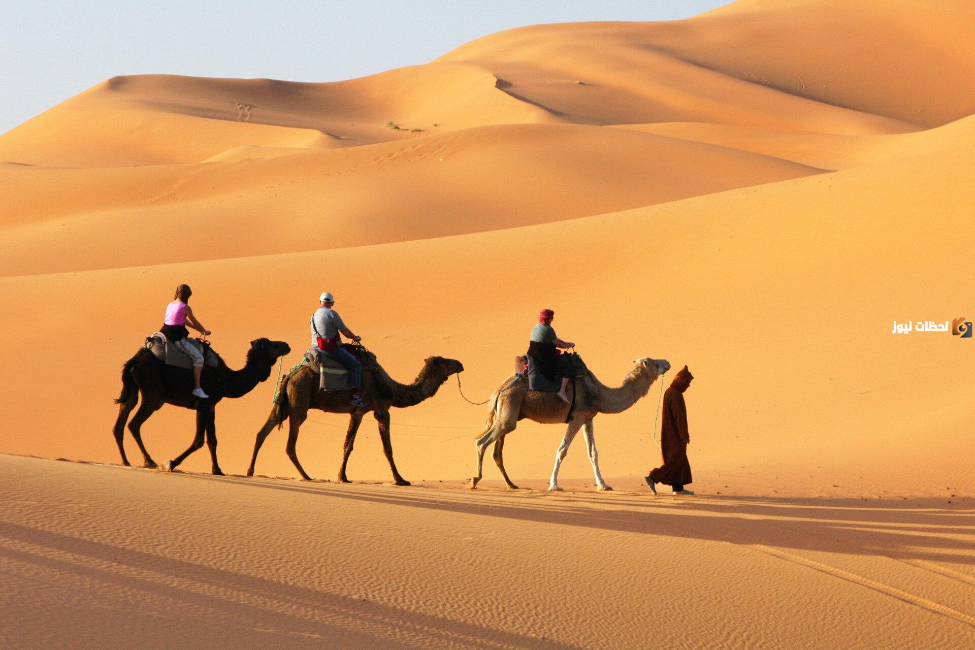 الحويزي وش يرجعون وما نسبهم