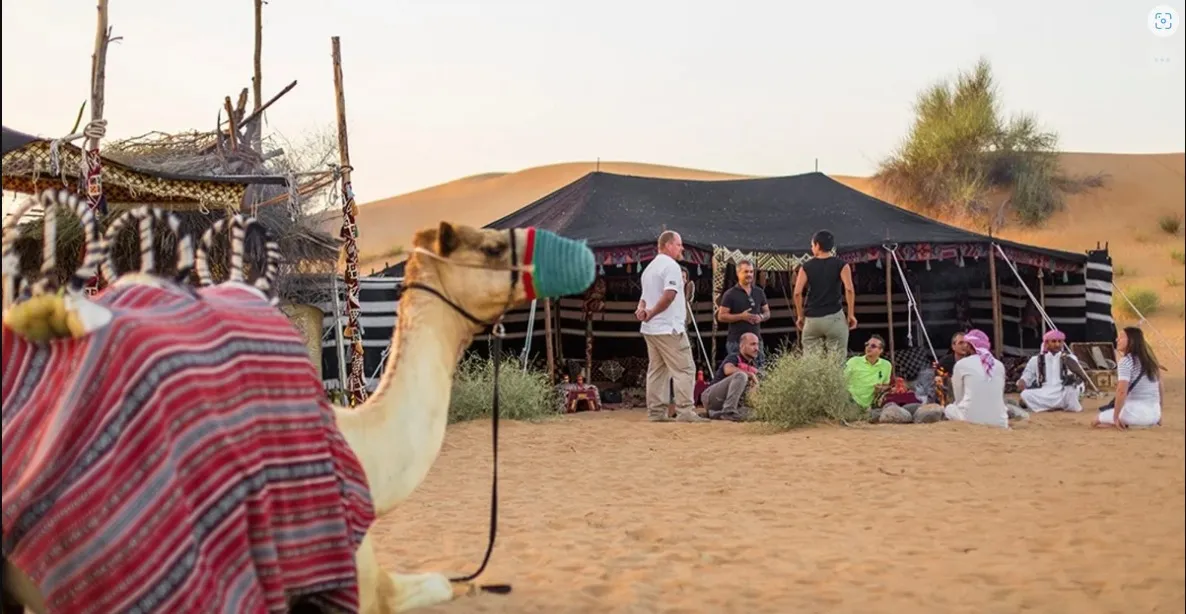 الخلاوي وش يرجع