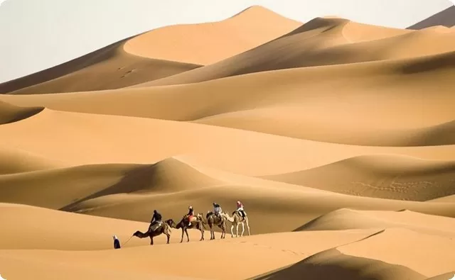 الخليوي وش يرجعون أصل الخليوي من وين