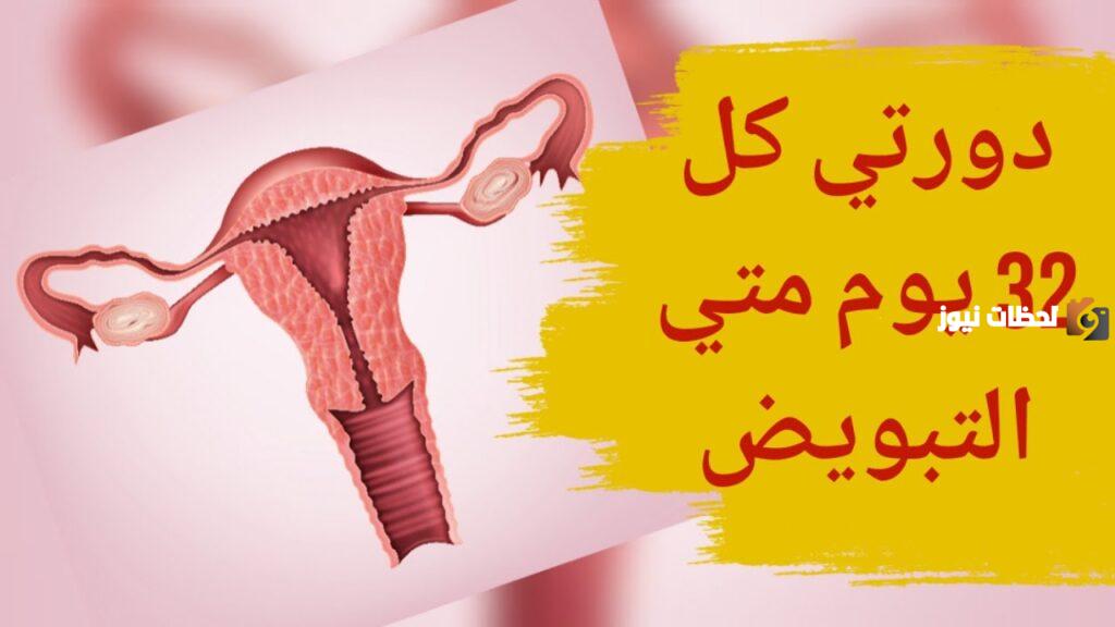 الدورة كل 32 يوم متى التبويض؟