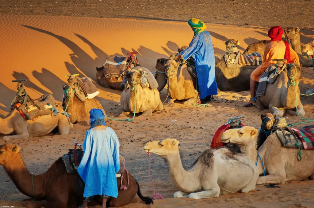 الزهيري وش يرجع أصل عائلة الزهيري من وين