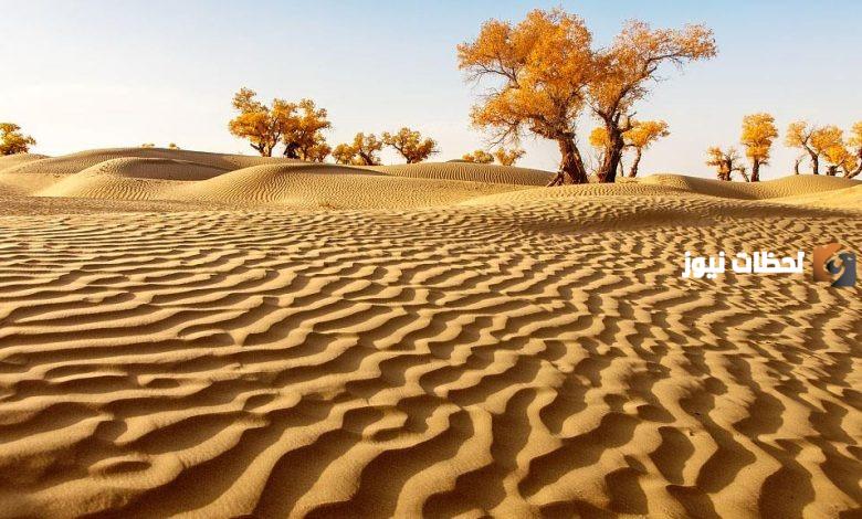 الشواطي وش يرجع أصل الشواطي من وين