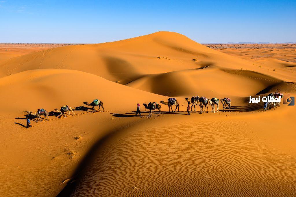 الظفيري من وين أصل عائلة الظفيري وش يرجع