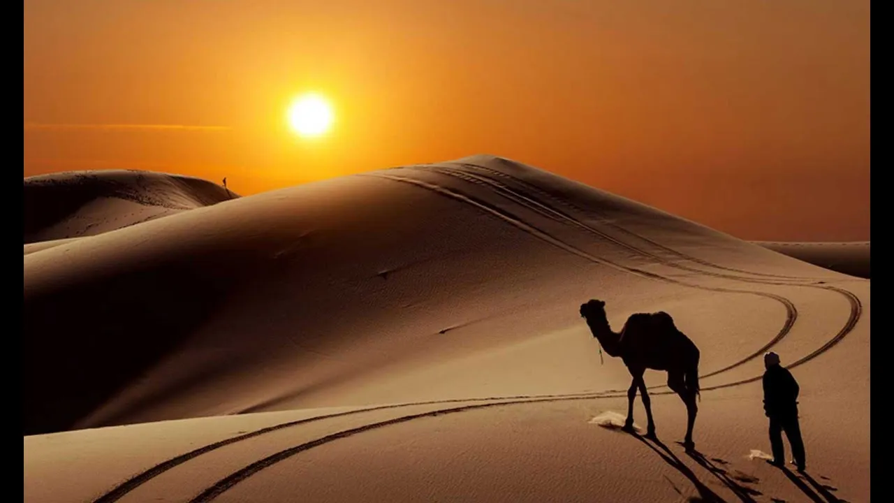 العلويط وش يرجع أصل العلويط من وين