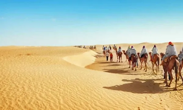 العمري وش يرجع