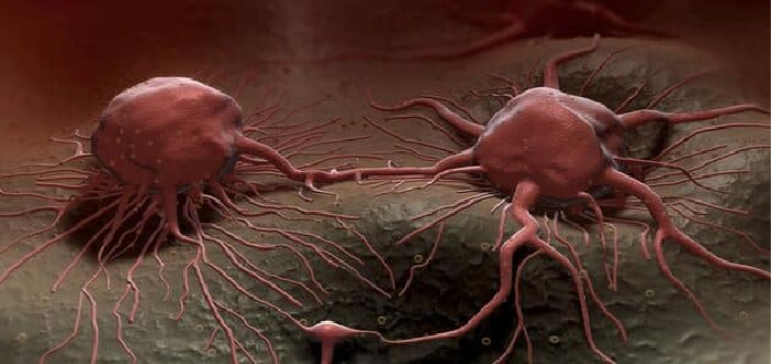 العملية المستمرة من النمو والإنقسام والتعويض تسمى