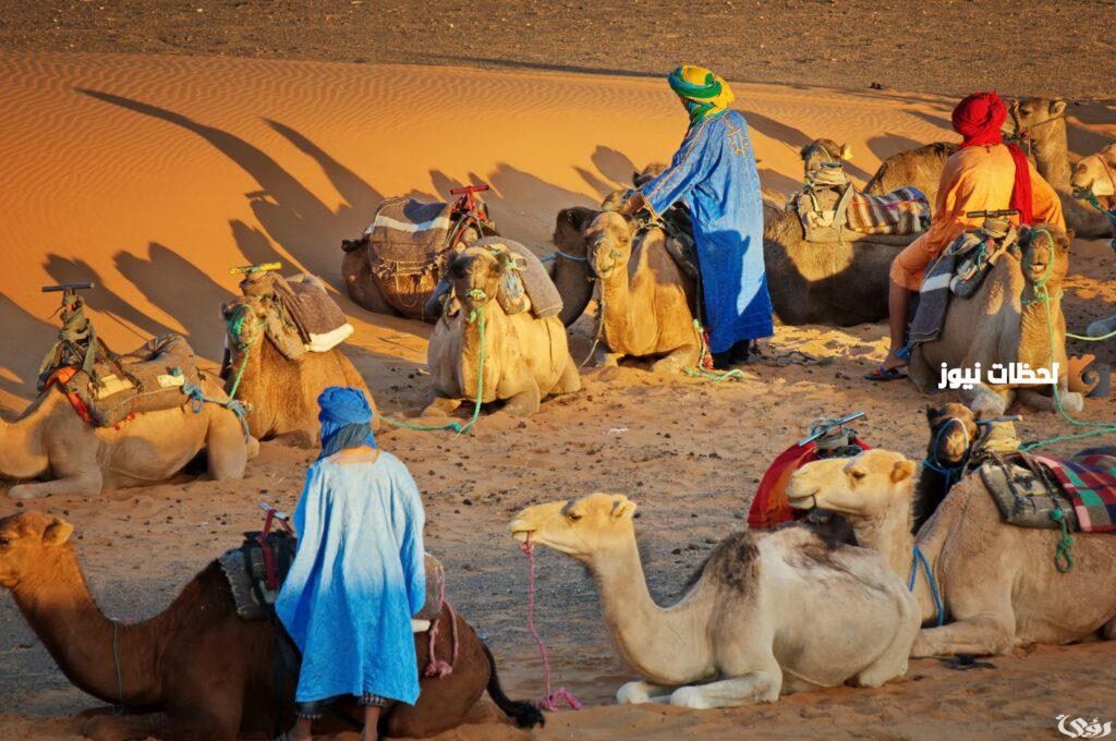 الغويري وش يرجعون الغويري كم فخذ