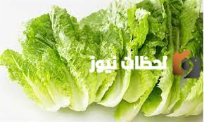 القيمة الغذائية للخس