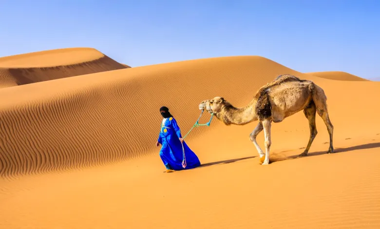 المديميغ وش يرجعون أصل المديميغ من وين