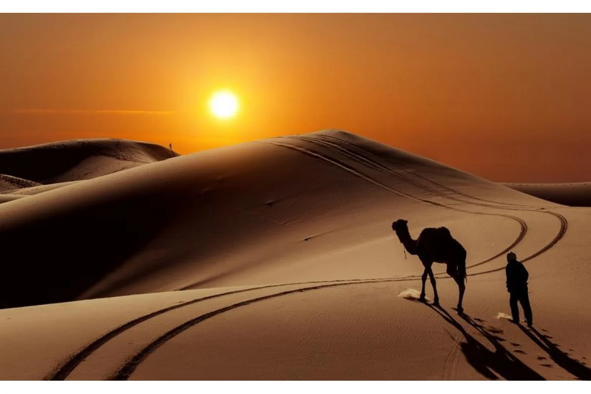 المريخي وش يرجعون أصل المريخي من وين