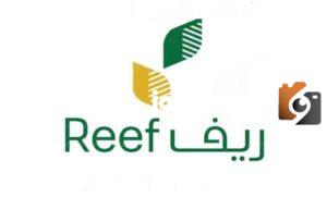المستفيدين من دعم ريف