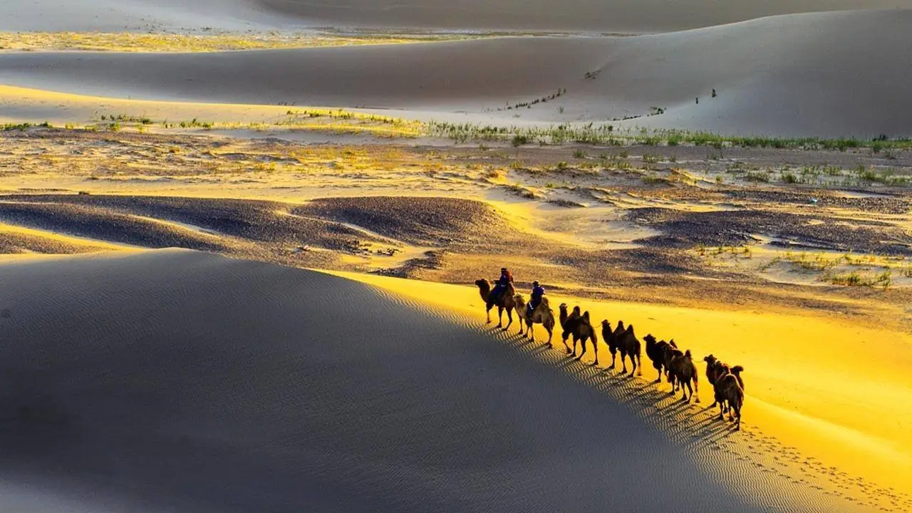 المطرب وش يرجعون المطرب وش يرجعون