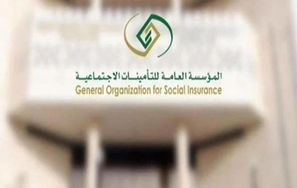 المنافع التي تقدمها التأمينات