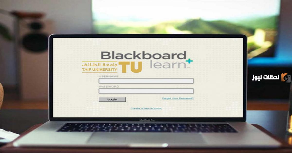 بلاك بورد جامعة الطائف تعليم عن بعد بلاك بورد جامعة الطائف تعليم عن بعد