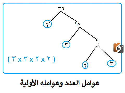 تحليل العدد ٤٥ إلى عوامله الأولية هو