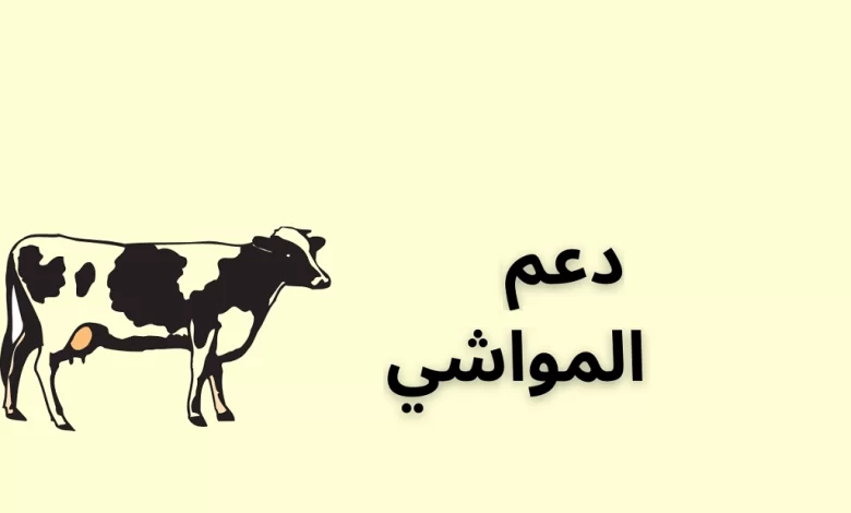 تسجيل دعم المواشي