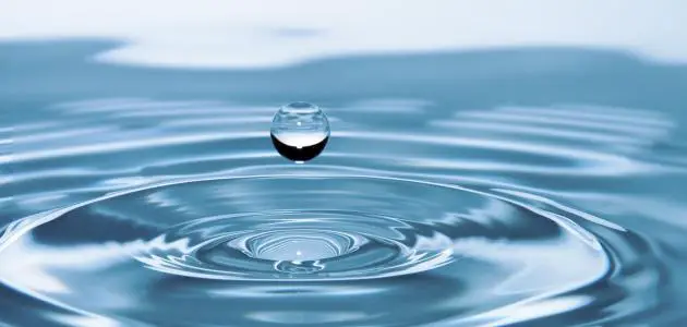 تفسير رؤية بركة الماء في المنام