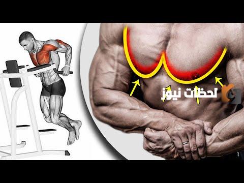 تمارين صدر علوي كاملة بالترتيب