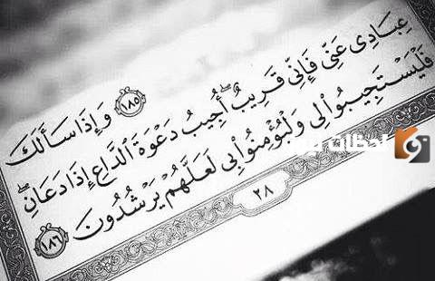 حكم الانتفاع بجلد الميتة من غير المأكول