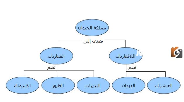 خريطة المفاهيم للحروف الهجائية واضحة