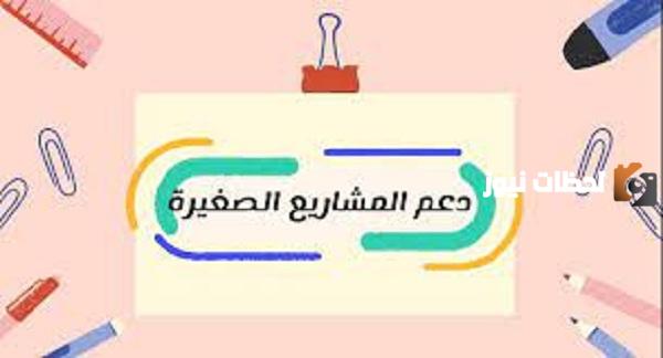 دعم المنشات الصغيرة