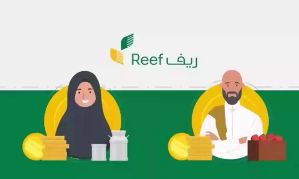 دعم ريف كم يجلس قيد الدراسة