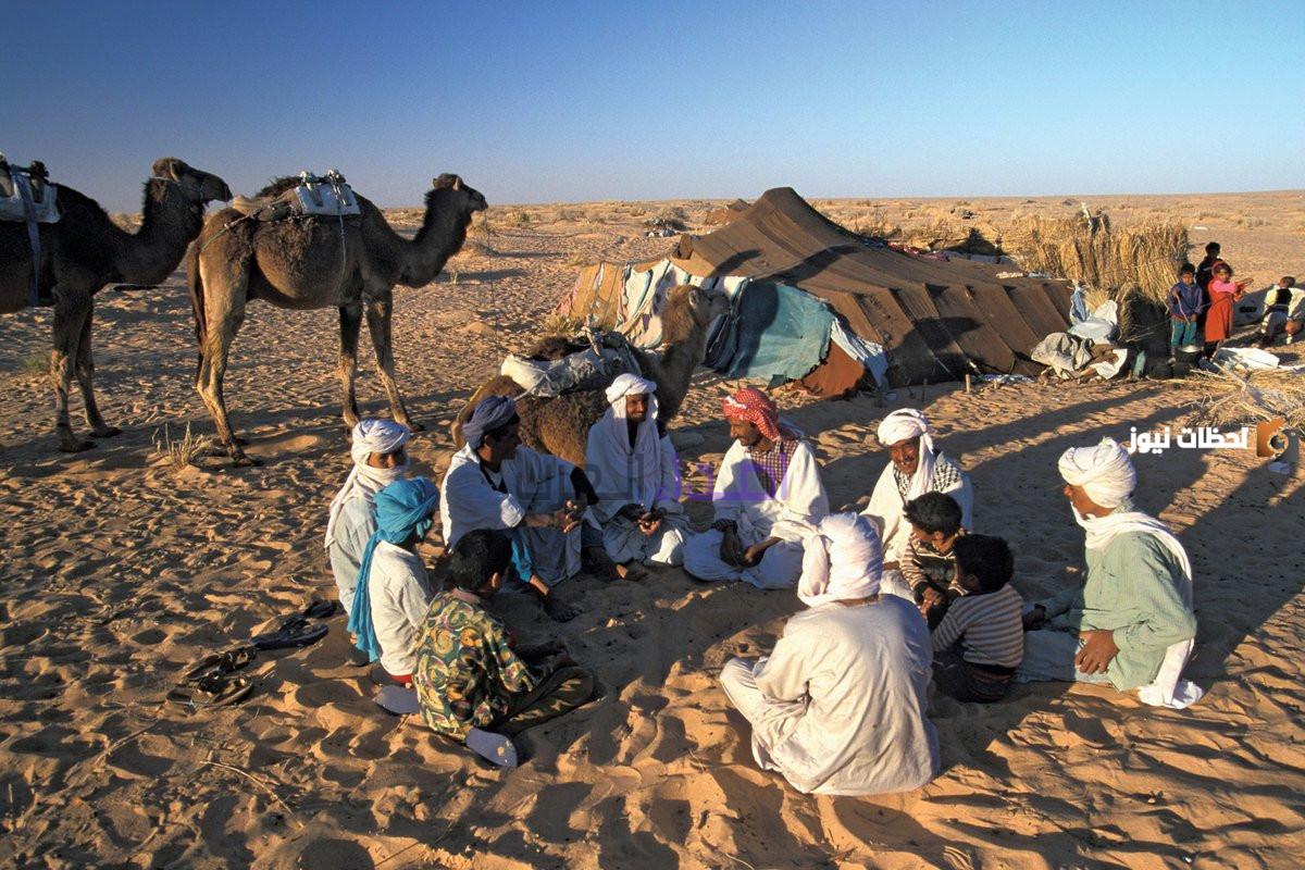 دهراب وش يرجعون