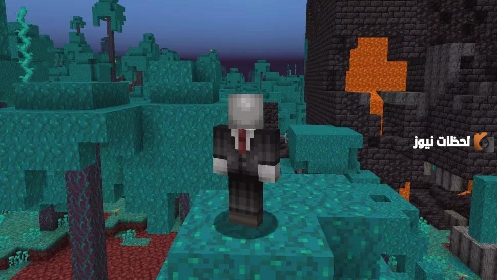 سكنات ماين كرافت