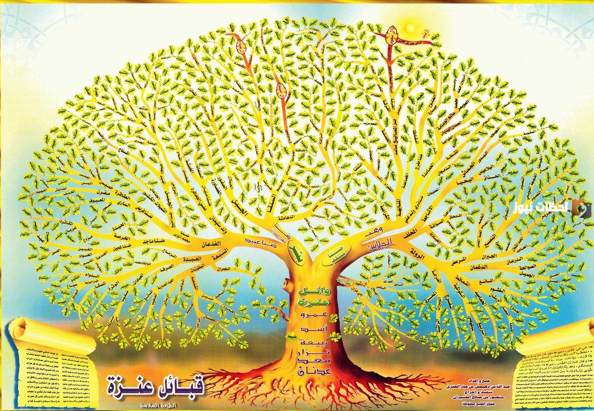 شجرة قبيلة عنزة واضحة وما هو نسب قبيلة عنزة