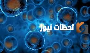 صواب أم خطأ | تحتوي النواه على معظم المعلومات الوراثيه للخليه