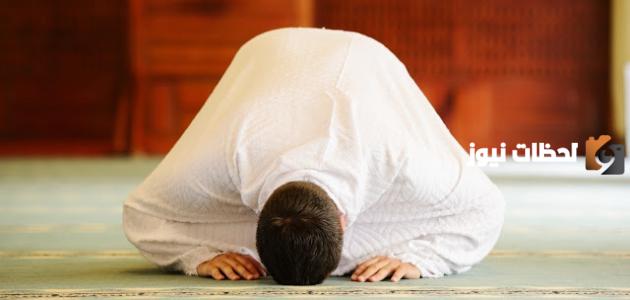 طريقة صلاة الوتر ركعه واحده بالآيات