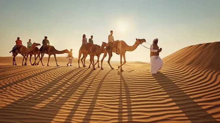 عائلة البعيجان وش يرجعون