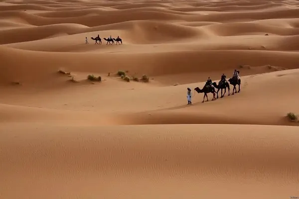 عائلة الجمعان وش يرجعون