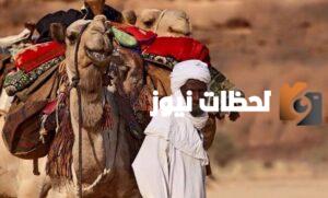 عائلة الصوينع وش يرجعون – وجميع المعلومات