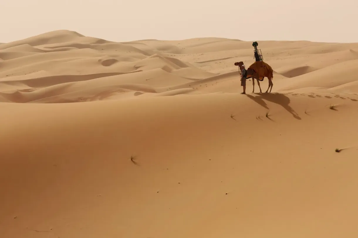 فهد الجلاجل وش يرجعون