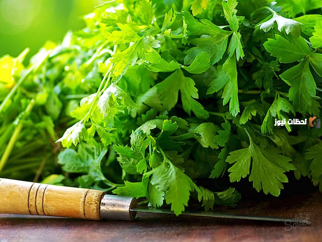 فوائد أكل البقدونس