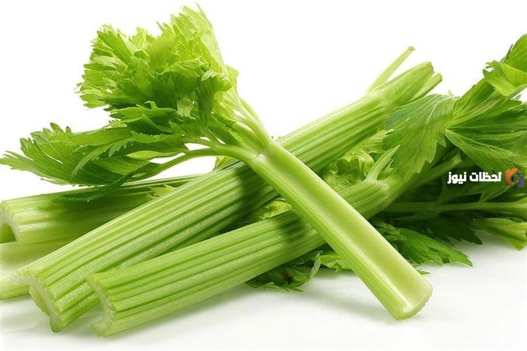 فوائد اكل الكرفس للرجيم هل الكرفس