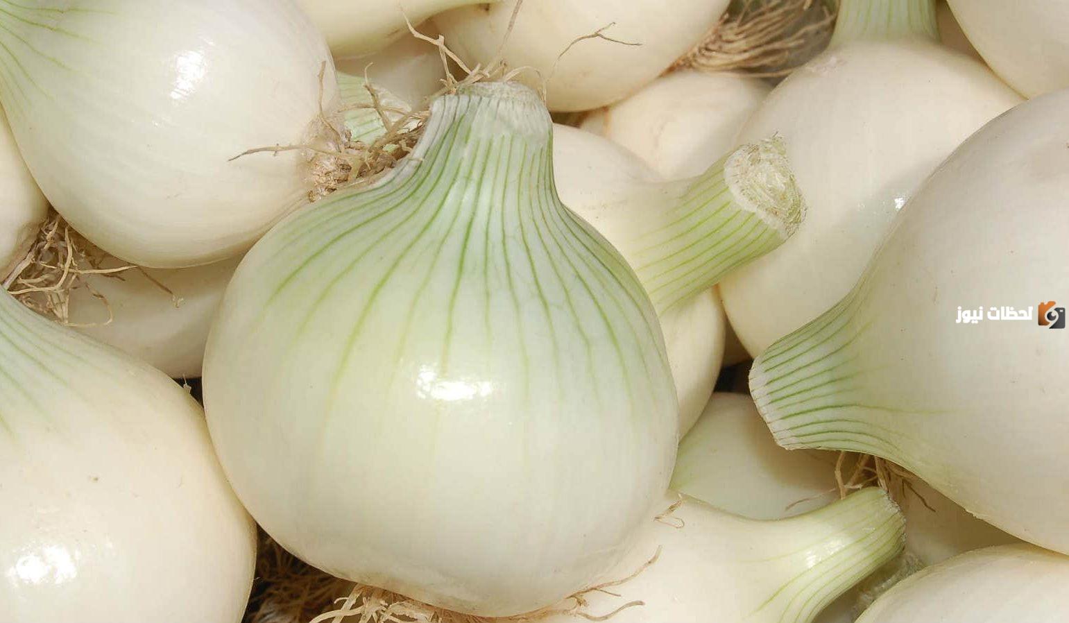فوائد البصل الأبيض