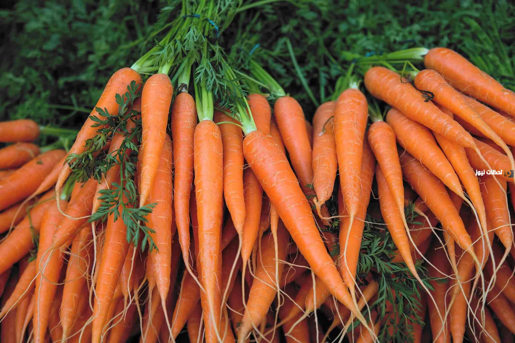 فوائد الجزر