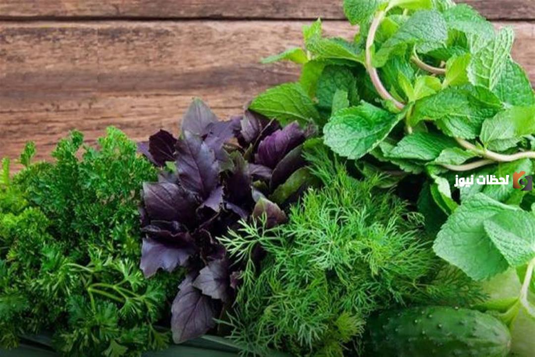 فوائد الخضروات الورقية
