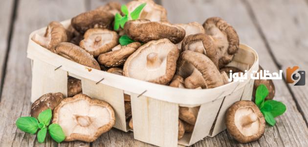 فوائد فطر شيتاكي