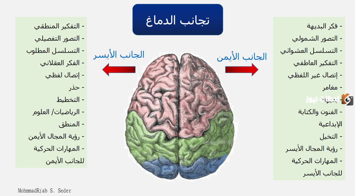 قارن بين نصفي الدماغ الأيمن والأيسر من حيث طريقة التفكير