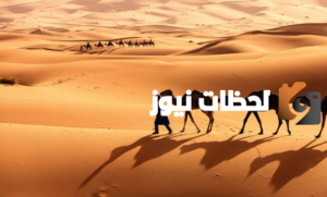 قبيلة الثبيتي وش يرجع