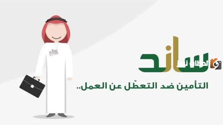 كم راتب ساند