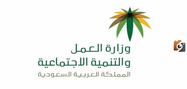 كم رواتب العمل عن بعد في وزارة العمل