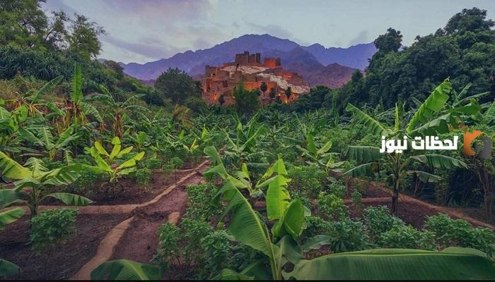 كم نسبة المناطق الخضراء في السعودية