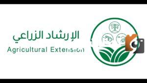 كيف أحمي الماشية أثناء الأمطار