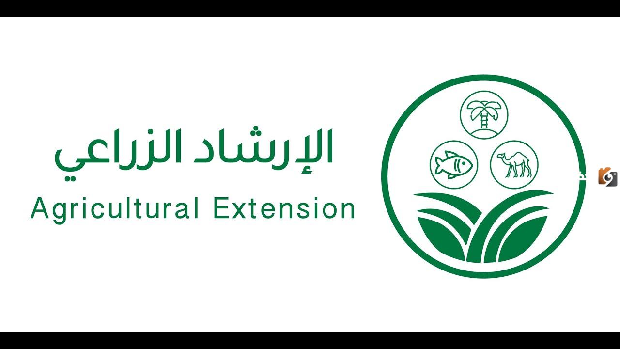 كيف أحمي الماشية أثناء الأمطار